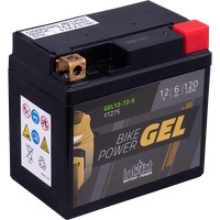 .YTZ7S GEL